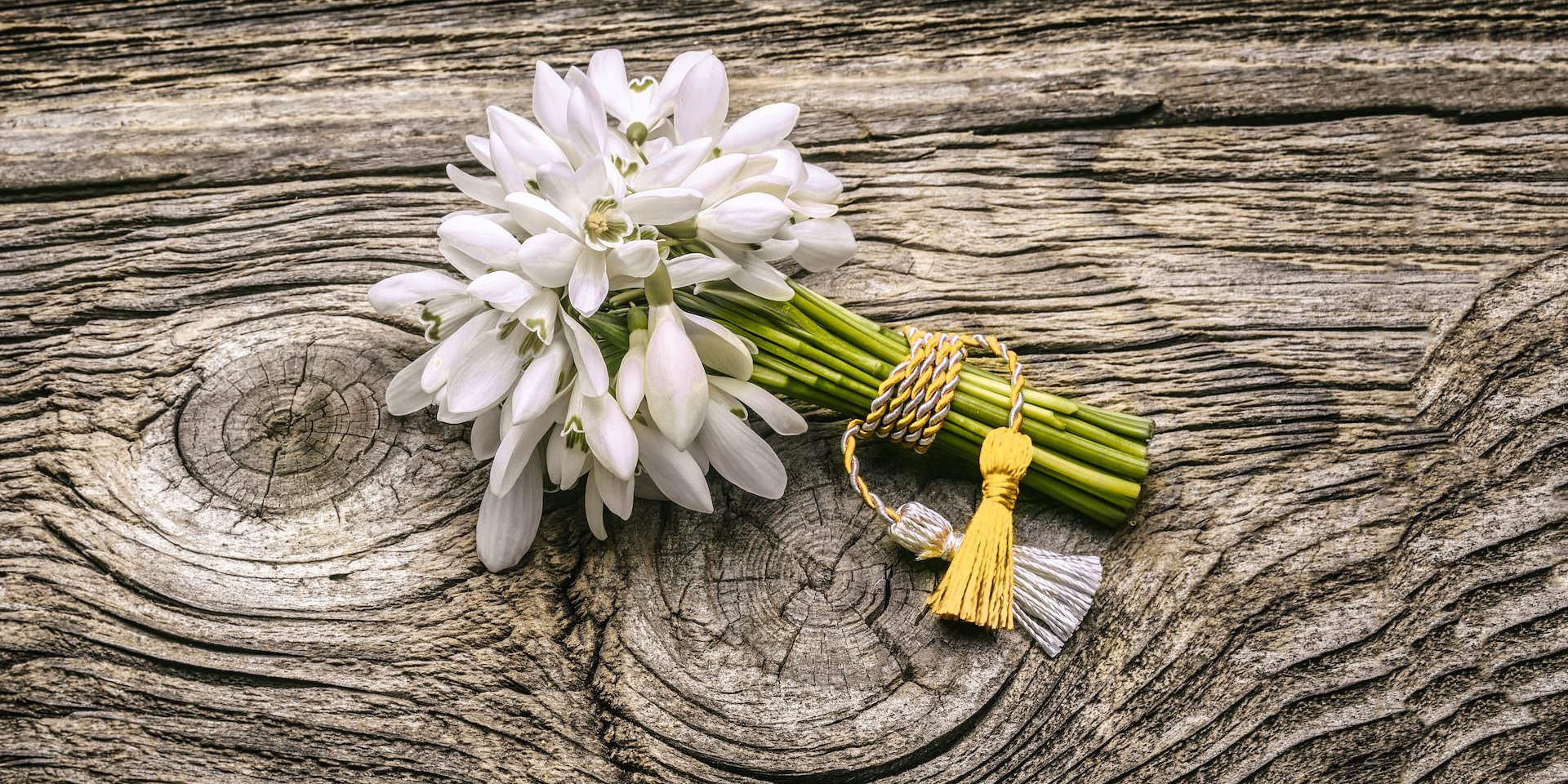 papas-olio-s-nagrada-zlatna-martenitsa