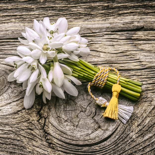 papas-olio-s-nagrada-zlatna-martenitsa